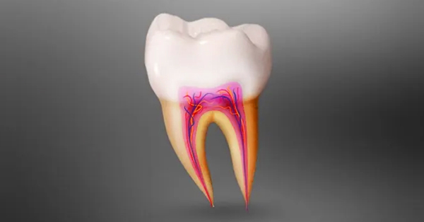 Root Canal Precision: Unraveling the Mystery