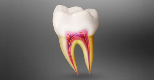 root-canals-in-grand-prairie-children-vs-older-adults