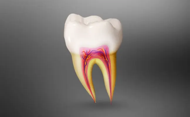 Root Canals Treatment in Grand Prairie Root Canals Treatment in Grand Prairie