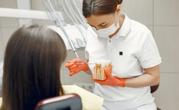 Procedure of Root Canals in Grand Prairie Procedure of Root Canals in Grand Prairie